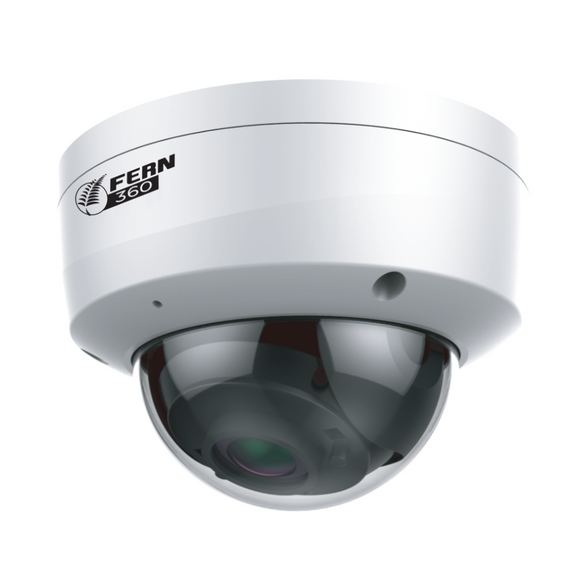 FERN360 Surveillance Kit - 2 Fixed Lens Starlight 4MP Vandal Dome Cameras and 10ch 1TB Network Video Recorder